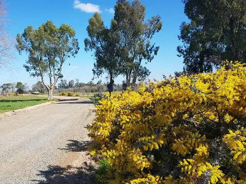 Terreno en Venta de 496,0 m2