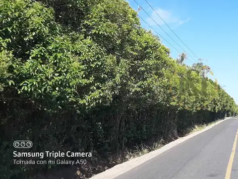 Terreno en Venta de 29515,0 m2