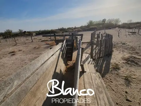 Campo  en Venta en 25 De Mayo, Puelen, La Pampa