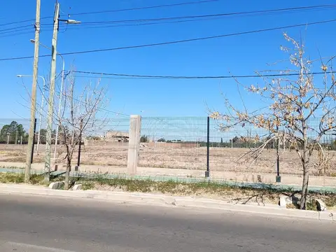 Terreno en Venta de 300,0 m2