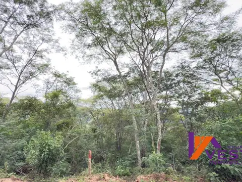 CORONEL MOLDES-TERRENO-VENTA 100