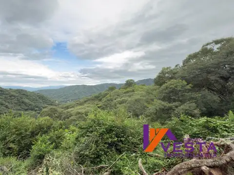 Terreno en Venta 50  mts Fondo