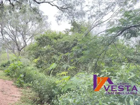 Coronel Moldes-terreno-salta