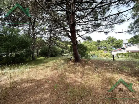 Cramer al 3200 - Nueva Atlantis