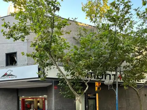 Negocio - Venta - Argentina, SAN LUIS - Leon Guillet 100