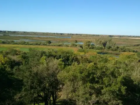 John F. Kennedy al 800