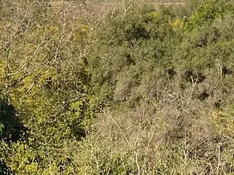 John F. Kennedy al 800