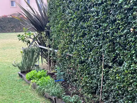 La Quadra ,Pilar 100