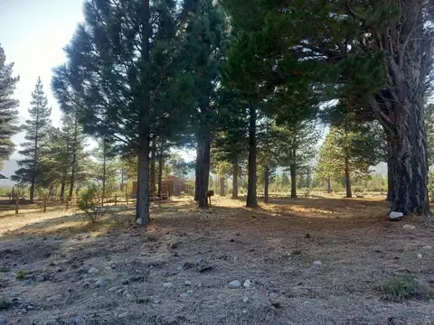 Terreno en Aldea San Francisco,Epuyén