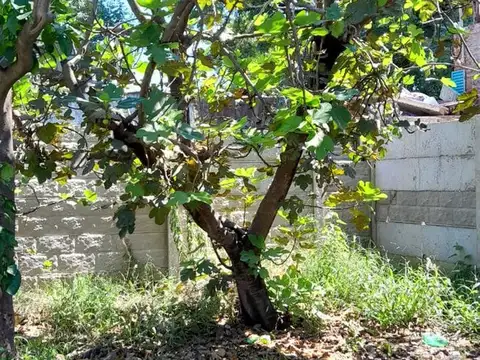 Terreno en Venta de 395,0 m2