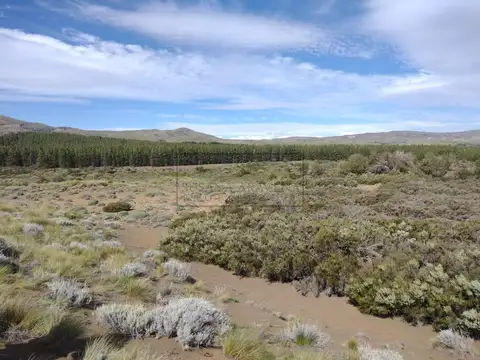 Lote  en Venta en Huechulafquen, San Martin de los Andes, Patagonia