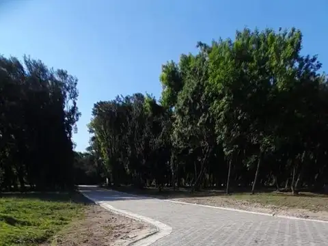 Terreno en Venta de 393,0 m2