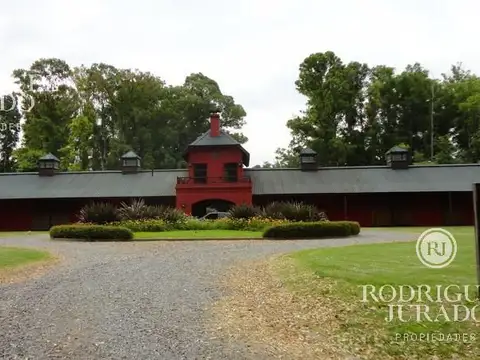 Espectacular Lote Arbolado