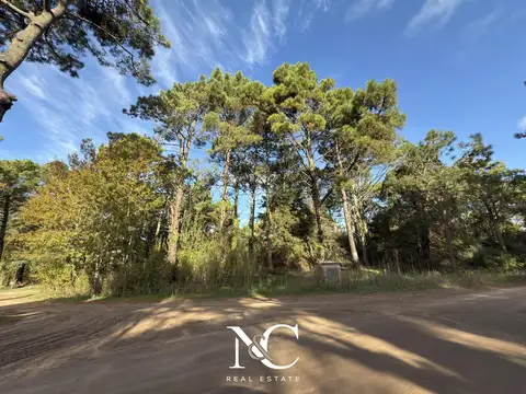 Terreno en Venta 33  mts Frente