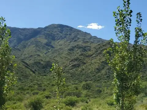 Campo - Venta - Argentina, Nogolí