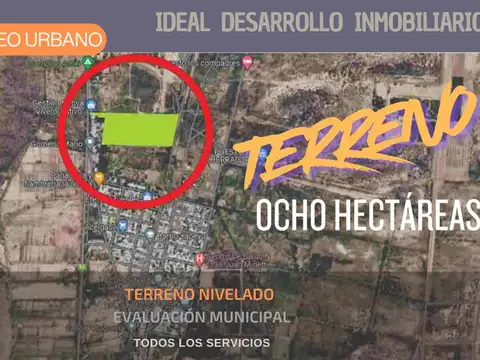 8 HECTÁREAS SOBRE CALLE SAN MARTIN EN LAS HERAS