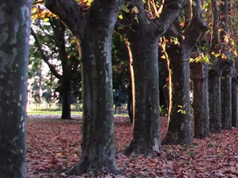 Venta Lote 1000m Azahares del Paraná Permuta