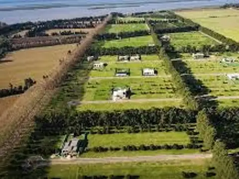 Terreno en Venta en Fighiera, USD 49.000