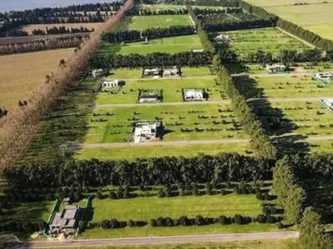 Ruta Provincial 21 100