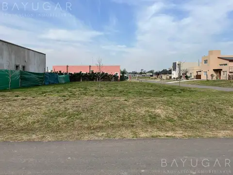 Terreno en Venta 16  mts Frente