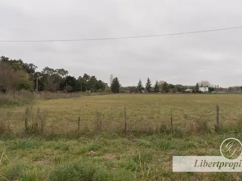 Terreno en Venta de 2275,0 m2