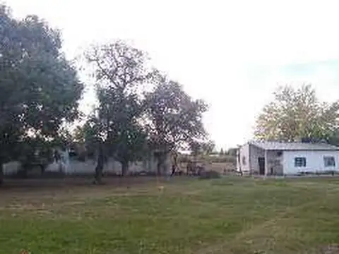 El Zorzal y El Picaflor