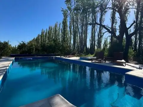 Finca en venta. Mendoza, con casa y 4 duplex.