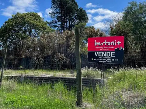 Remedios De Escalada 1400