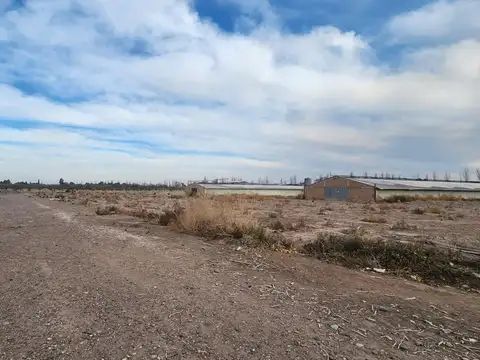 LOTE EN ZONA INDUSTRIAL DE GUAYMALLEN 8,4 Ha.