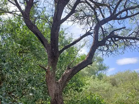 Terreno en Venta de 660,0 m2