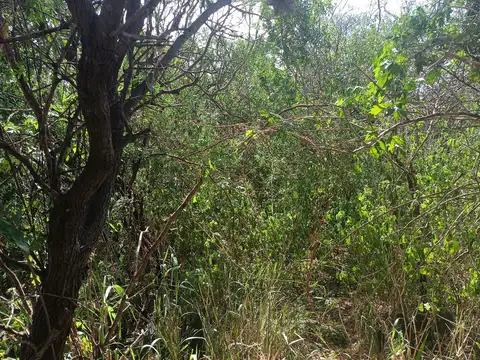 Terreno en Venta en San Marcos Sierra, USD 22.000