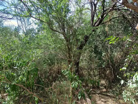 Terreno en Venta 50  mts Fondo