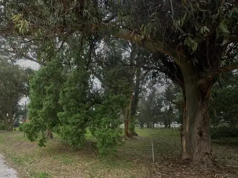 Terreno en Venta de 480,0 m2