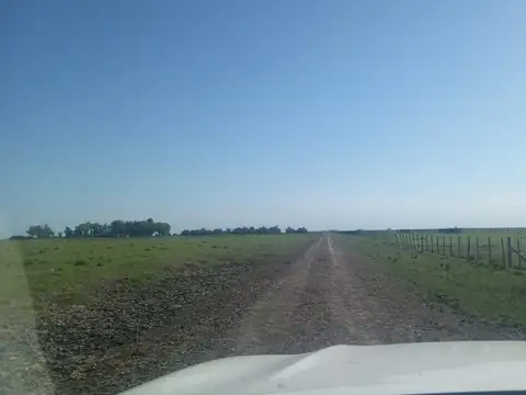 Campo en venta en General Madariaga