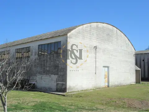 ALQUILER GALPON RUTA 8 , prox CANELONES