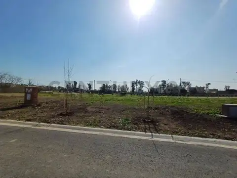 Santa Sofía 100, Piso 0