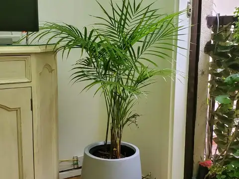 Departamento en Alquiler Temporal de 1 dormitorio