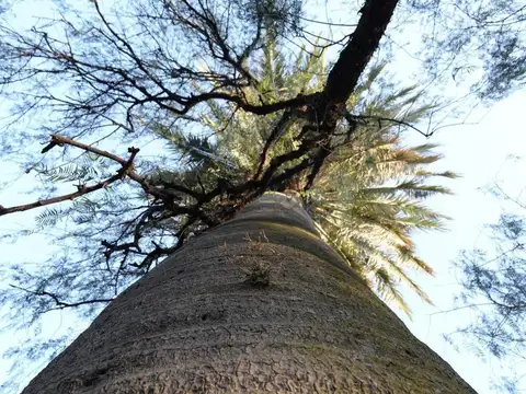 Terreno en Venta de 153,0 m2