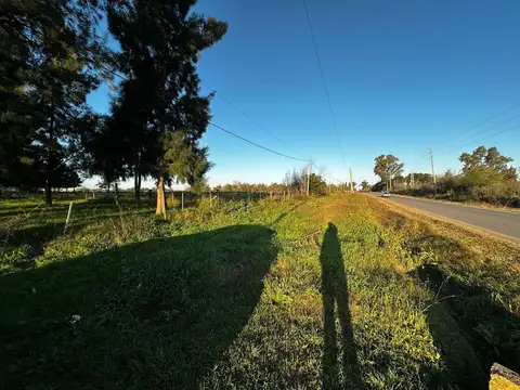 155 entre 76 y 78 100