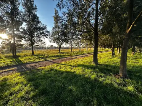 LOTE EN VENTA LA PLATA