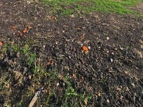 Casa en Alquiler en Pilar Del Este, USD 1.700