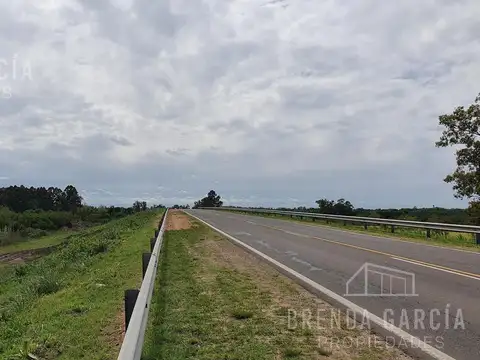 Terreno en Venta de 55000,0 m2