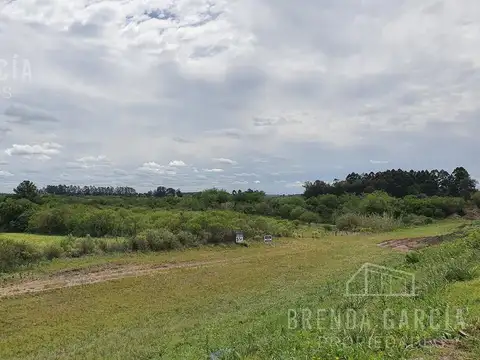 Terreno en Venta en Colon, USD 85.000