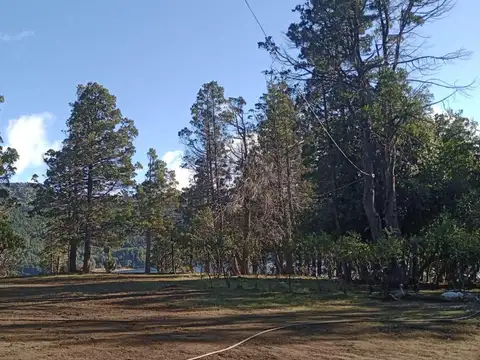 Campo en venta trevelin