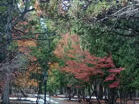 2.8 hectares en venta