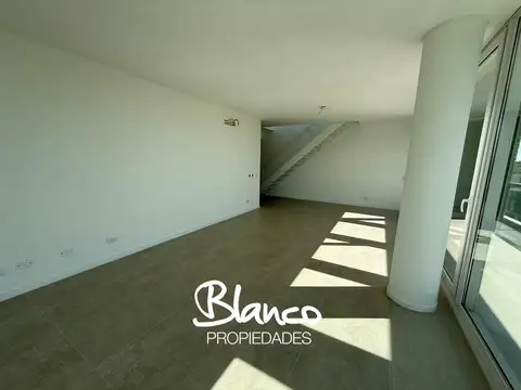 Luciérnagas Pilar -