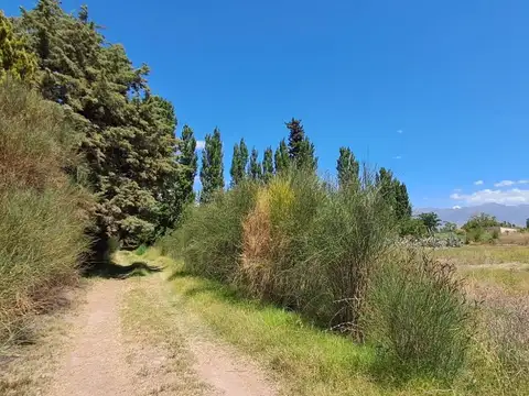 VENTA TERRENO BRANDSEND IDEAL INVERSIÓN