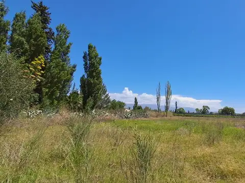 Terreno en Venta de 2000,0 m2