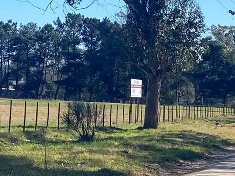 Campo en Mar Del Plata