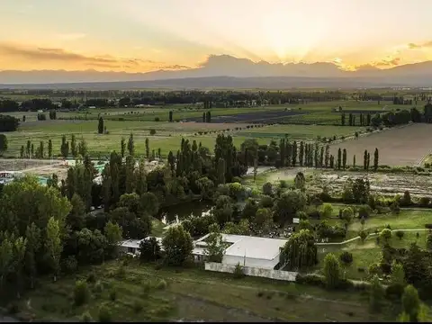 Salón de fiestas en Venta en Luján de Cuyo - Mendoza